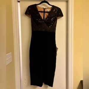 Dress the Population Ivy Dress